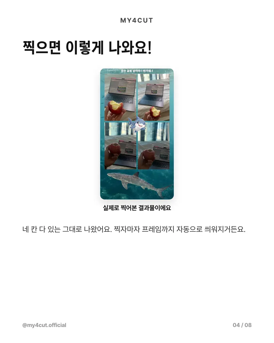 Real result in the shark frame, four photos of a hand holding an apple in front of a laptop, with the shark mascot and shark photo still visible